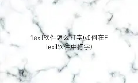 flexil软件怎么打字(如何在Flexil软件中打字)