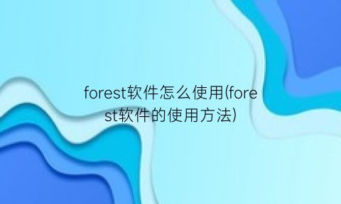 forest软件怎么使用(forest软件的使用方法)