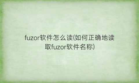 fuzor软件怎么读(如何正确地读取fuzor软件名称)