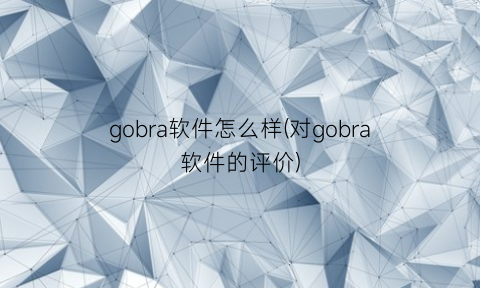 gobra软件怎么样(对gobra软件的评价)