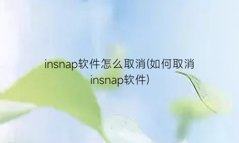 insnap软件怎么取消(如何取消insnap软件)