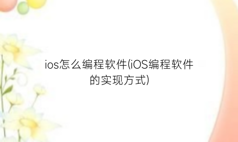 ios怎么编程软件(iOS编程软件的实现方式)