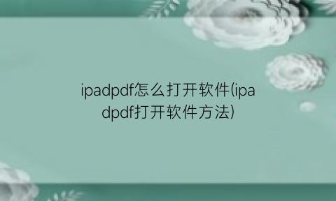 ipadpdf怎么打开软件(ipadpdf打开软件方法)