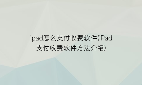 ipad怎么支付收费软件(iPad支付收费软件方法介绍)