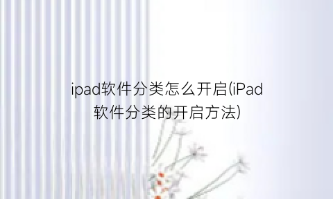ipad软件分类怎么开启(iPad软件分类的开启方法)