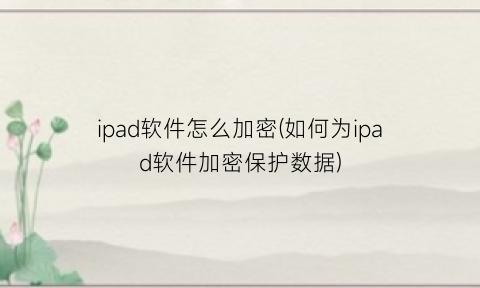 “ipad软件怎么加密(如何为ipad软件加密保护数据)