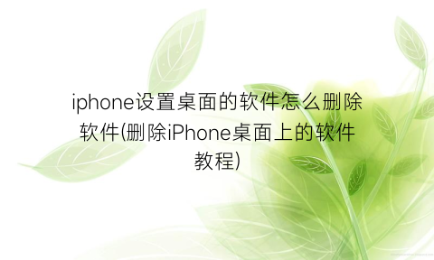 iphone设置桌面的软件怎么删除软件(删除iPhone桌面上的软件教程)