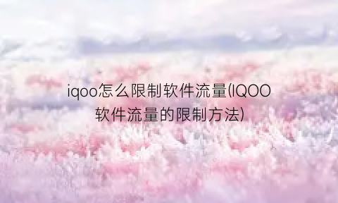 “iqoo怎么限制软件流量(IQOO软件流量的限制方法)
