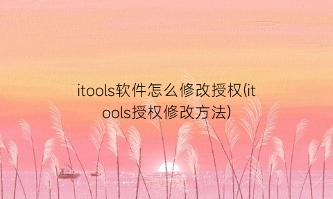 itools软件怎么修改授权(itools授权修改方法)