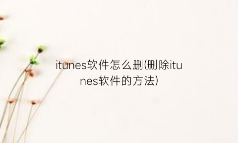 itunes软件怎么删(删除itunes软件的方法)