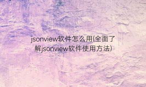 jsonview软件怎么用(全面了解jsonview软件使用方法)