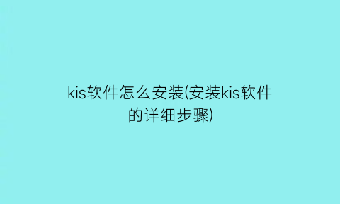 kis软件怎么安装(安装kis软件的详细步骤)