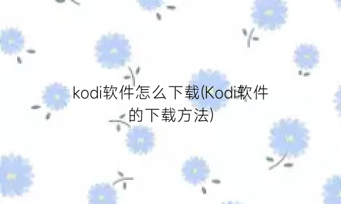 “kodi软件怎么下载(Kodi软件的下载方法)