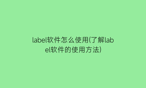 “label软件怎么使用(了解label软件的使用方法)