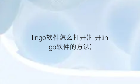 lingo软件怎么打开(打开lingo软件的方法)