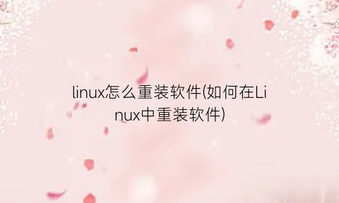 “linux怎么重装软件(如何在Linux中重装软件)