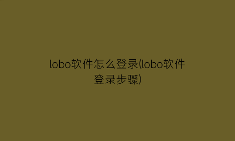 lobo软件怎么登录(lobo软件登录步骤)