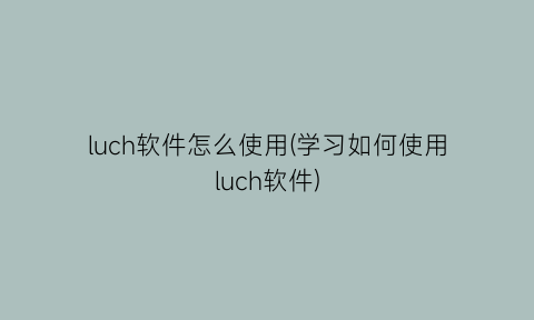 luch软件怎么使用(学习如何使用luch软件)