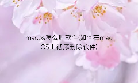 macos怎么删软件(如何在macOS上彻底删除软件)