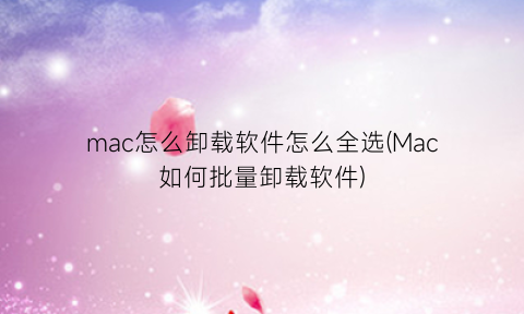 mac怎么卸载软件怎么全选(Mac如何批量卸载软件)