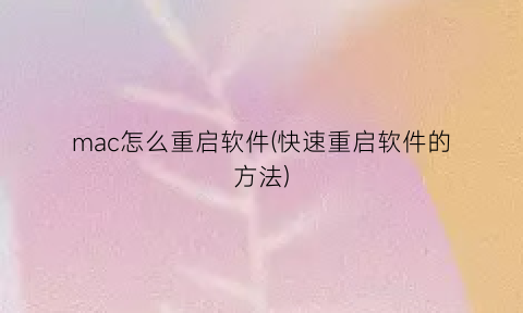 “mac怎么重启软件(快速重启软件的方法)