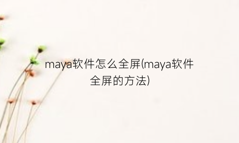 “maya软件怎么全屏(maya软件全屏的方法)