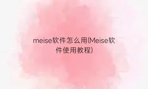 meise软件怎么用(Meise软件使用教程)