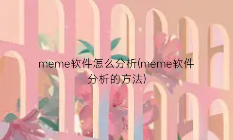 meme软件怎么分析(meme软件分析的方法)