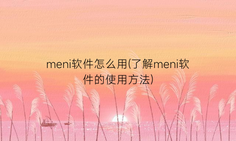 meni软件怎么用(了解meni软件的使用方法)
