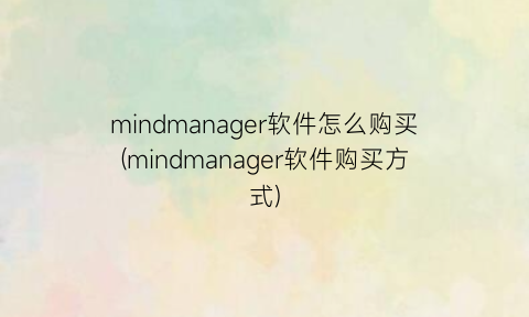 mindmanager软件怎么购买(mindmanager软件购买方式)