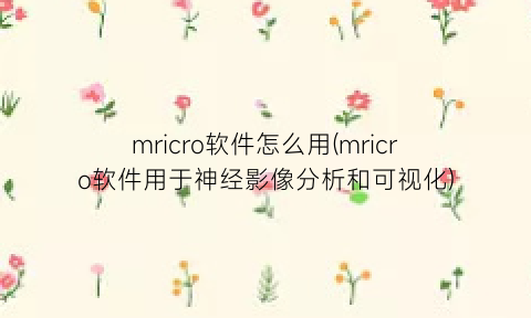 “mricro软件怎么用(mricro软件用于神经影像分析和可视化)