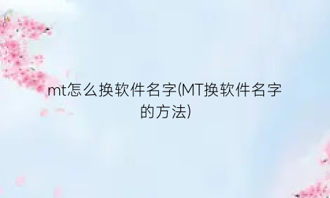 mt怎么换软件名字(MT换软件名字的方法)