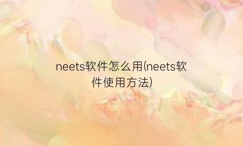 neets软件怎么用(neets软件使用方法)