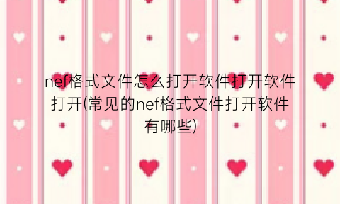 nef格式文件怎么打开软件打开软件打开(常见的nef格式文件打开软件有哪些)