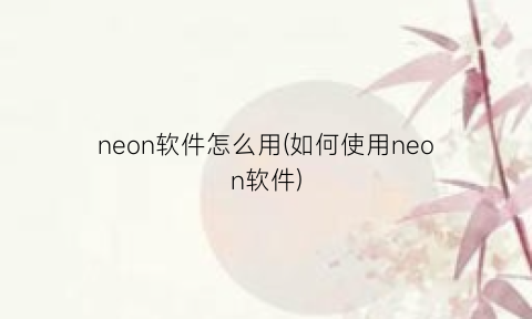 neon软件怎么用(如何使用neon软件)