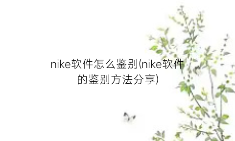 nike软件怎么鉴别(nike软件的鉴别方法分享)