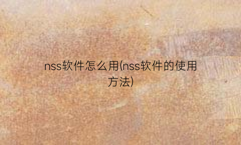 nss软件怎么用(nss软件的使用方法)