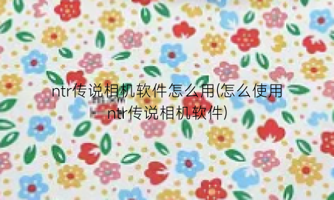 ntr传说相机软件怎么用(怎么使用ntr传说相机软件)