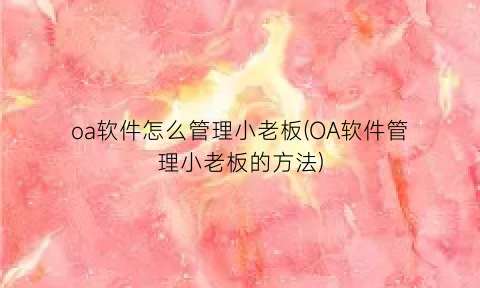 oa软件怎么管理小老板(OA软件管理小老板的方法)
