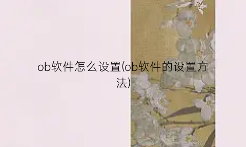 “ob软件怎么设置(ob软件的设置方法)