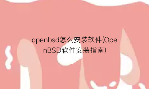 openbsd怎么安装软件(OpenBSD软件安装指南)