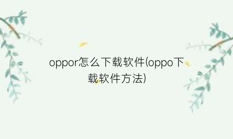 “oppor怎么下载软件(oppo下载软件方法)