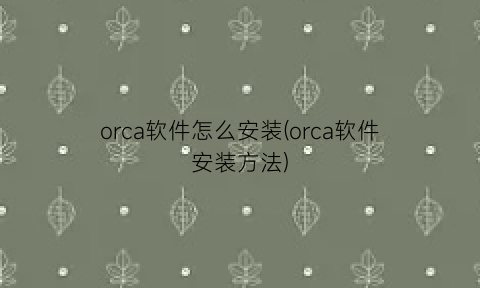 “orca软件怎么安装(orca软件安装方法)