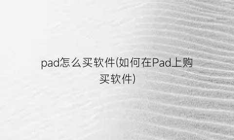 “pad怎么买软件(如何在Pad上购买软件)