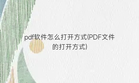 pdf软件怎么打开方式(PDF文件的打开方式)