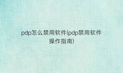 pdp怎么禁用软件(pdp禁用软件操作指南)