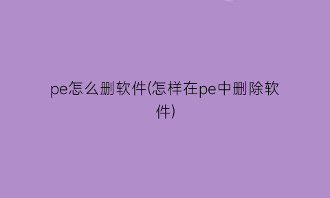 “pe怎么删软件(怎样在pe中删除软件)