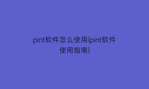 pint软件怎么使用(pint软件使用指南)