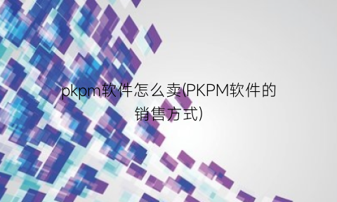 pkpm软件怎么卖(PKPM软件的销售方式)