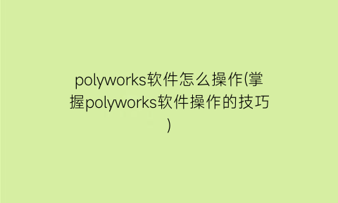 polyworks软件怎么操作(掌握polyworks软件操作的技巧)